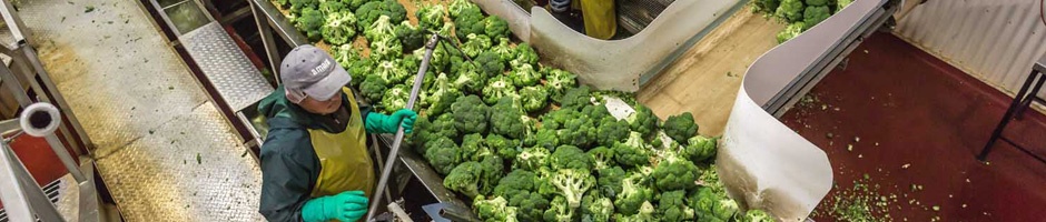 uploads/plants/banner_plant_9.jpg